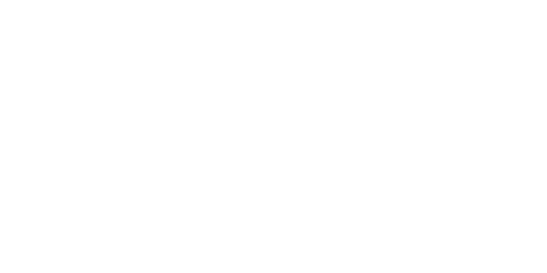 레드 타이거 logo